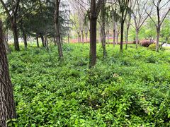 -戴记龙虾(天泽街店)