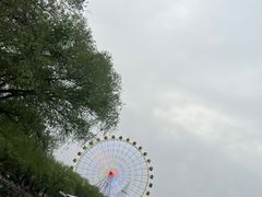 -青城公园