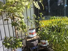 -永安里地摊烤肉(首创店)