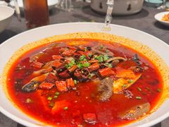 蓉派招牌毛血旺-湖鱼湖·蓉亭食贝(亚运村店)