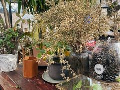 -北马山庄植趣咖啡