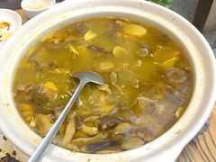-滇铺子·云南特色菜·第九届野生菌美食节(东风东路c86店)