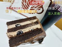 -喜马拉雅森HIMALAYAN FOREST