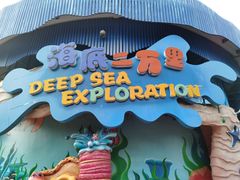 -海合安武汉极地海洋公园