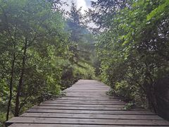 -苏木山森林公园