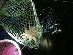 android_upload_pic-海上驿站渔家菜馆