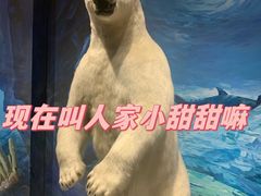 -大连自然博物馆