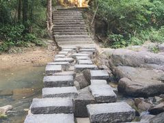 -广州白江湖森林公园