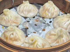 -莱莱小笼·乔艾