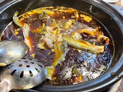 -金海椒罐罐鲢鱼(东方桂苑店)