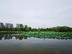 -太阳宫公园