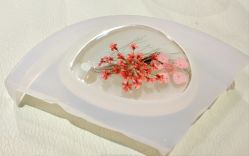 -保丽宝泰母婴护理院·月子中心·产康·中医(常州店)