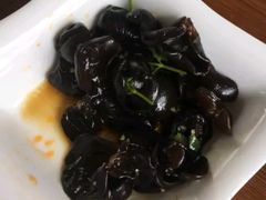 凉拌木耳-香山家宴