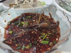 -禧福楼·十五年老店(科技城店)