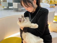 -COLOR PETS 撸猫馆·购猫·猫咖(长风大悦城店)