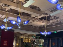 -牧雲子·臻选云南菜 .商务宴请(泰然大厦店)