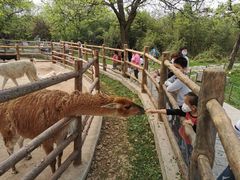 -西安秦岭野生动物园