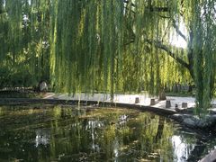 -玲珑塔公园