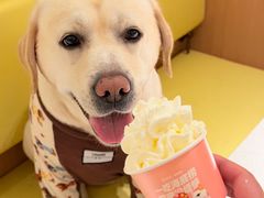 -海底捞火锅(凤凰广场店)