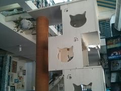 android_upload_pic-Sirena海妖日咖夜酒