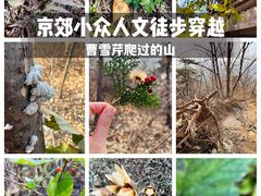 -国家植物园