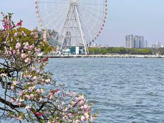 -无锡蠡湖国家湿地公园-蠡园