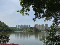 -重庆彩云湖湿地公园