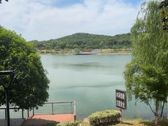 -羊山湖公园