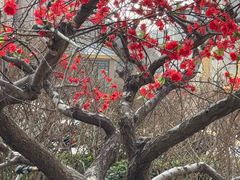 -保定市动物园