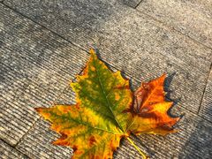 -南京金牛湖风景区