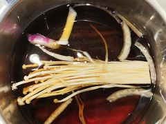 -龍歌自助小火锅(崂山丽达店)