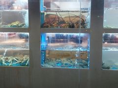 -启东海鲜人家(古美路店)