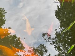 -杭州植物园
