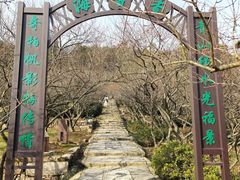 -香雪海
