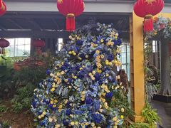 -沈阳植物园