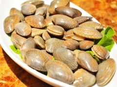 花蛤-船奇蒸汽海鲜·闽菜(八市海鲜总店)