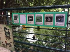 -九龙公园
