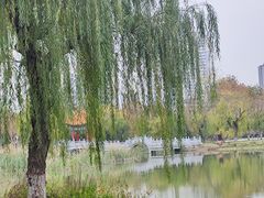 -咸阳湖景区-古渡公园