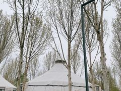 -九十九顶毡房(阜石路店)