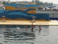 -秦皇岛乐岛海洋王国