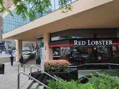 -RED LOBSTER(多伦多DT店)