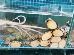 -宾朋海鲜美食特色餐厅·纯手工鲅鱼水饺(兴海路店)