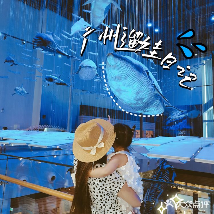 广州探馆|夏日遛娃好去处|免费带娃科普虾蟹知识  