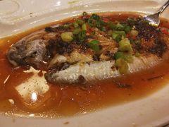 -Isla Sugbu Seafood City