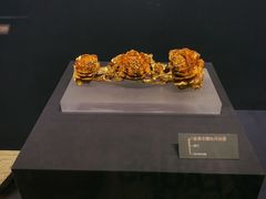 -温州博物馆