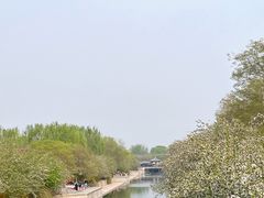 -元大都城垣遗址公园