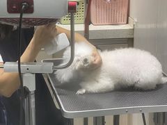 -宠颐生动物医院·小陆分院