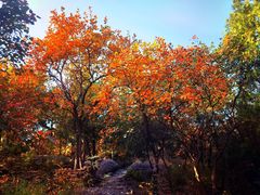 -北京十三陵国家森林公园蟒山景区