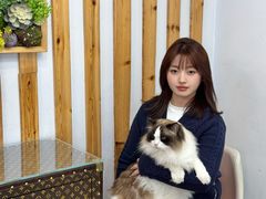 -青奢宠物·青奢猫舍