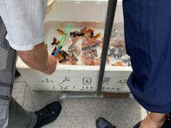 -华声天桥民俗文化园